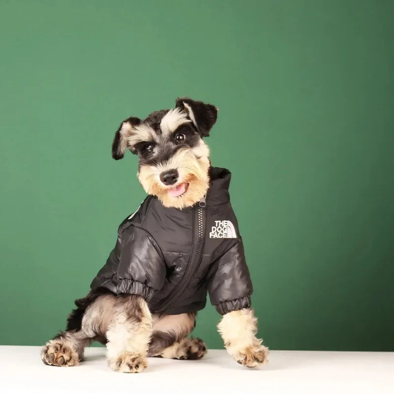 The Dog Face Jacket - Stylish & Durable Pet Raincoat